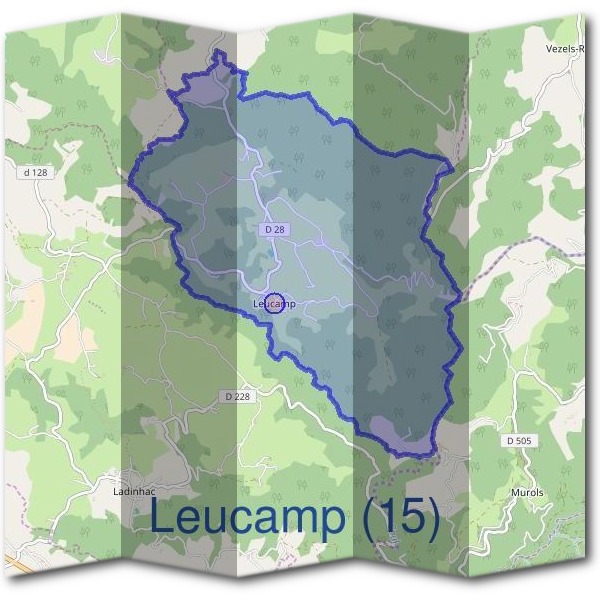 Mairie de Leucamp (15)