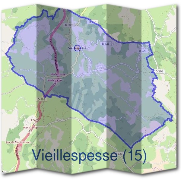 Mairie de Vieillespesse (15)