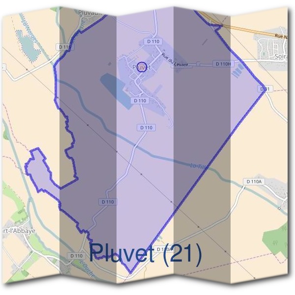 Mairie de Pluvet (21)