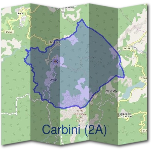 Mairie de Carbini (2A)