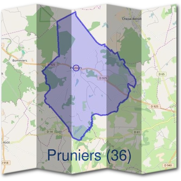 Mairie de Pruniers (36)