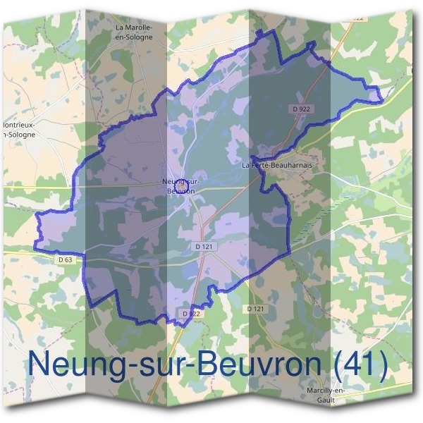 Mairie de Neung-sur-Beuvron (41)