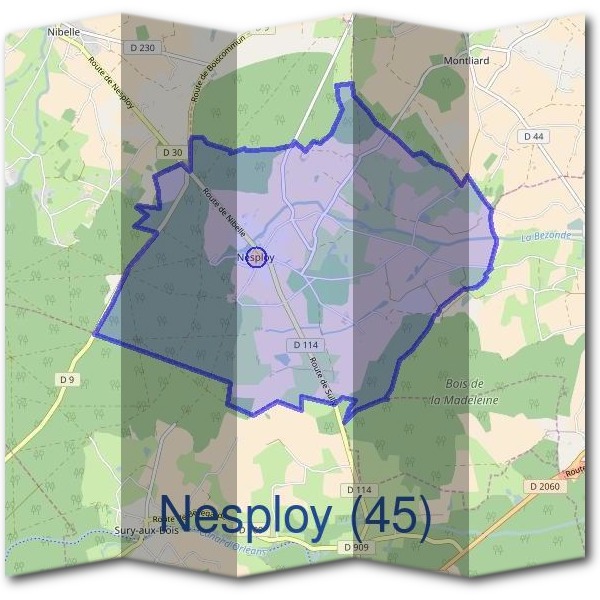 Mairie de Nesploy (45)