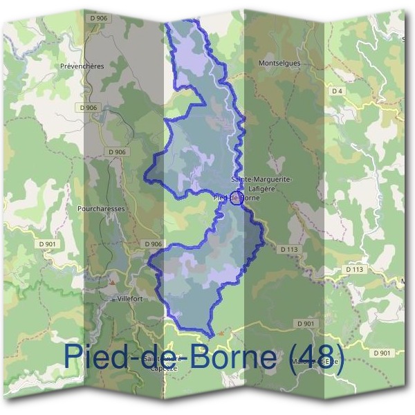 Mairie de Pied-de-Borne (48)