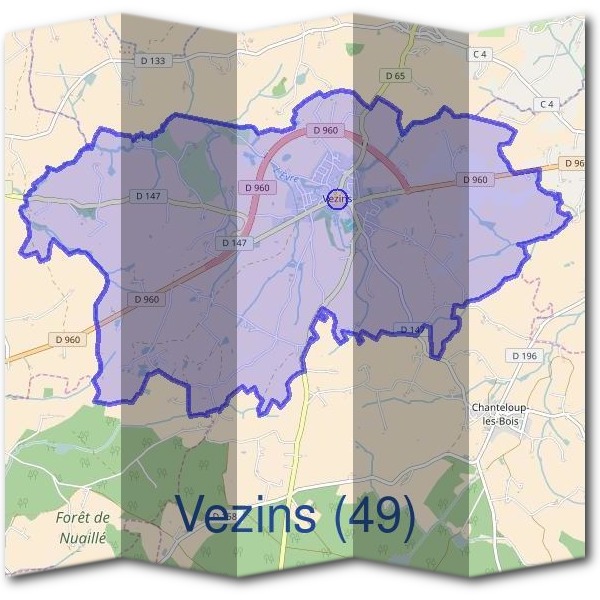 Mairie de Vezins (49)