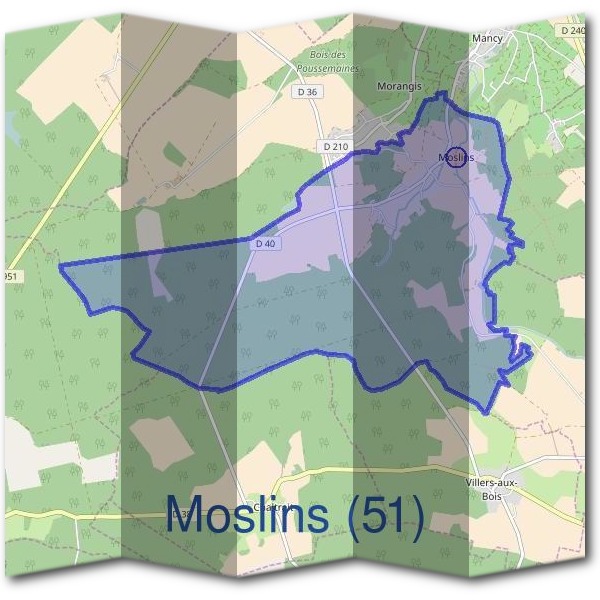 Mairie de Moslins (51)