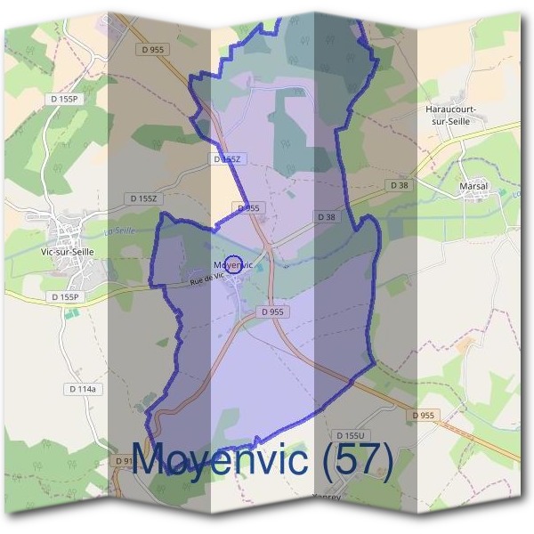 Mairie de Moyenvic (57)