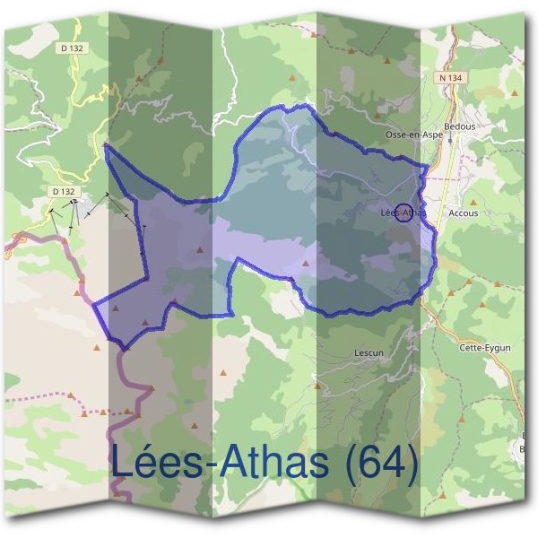 Mairie de Lées-Athas (64)