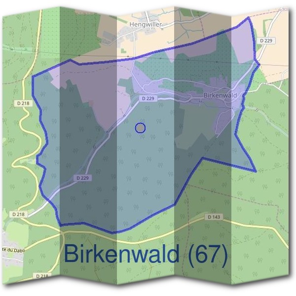 Mairie de Birkenwald (67)