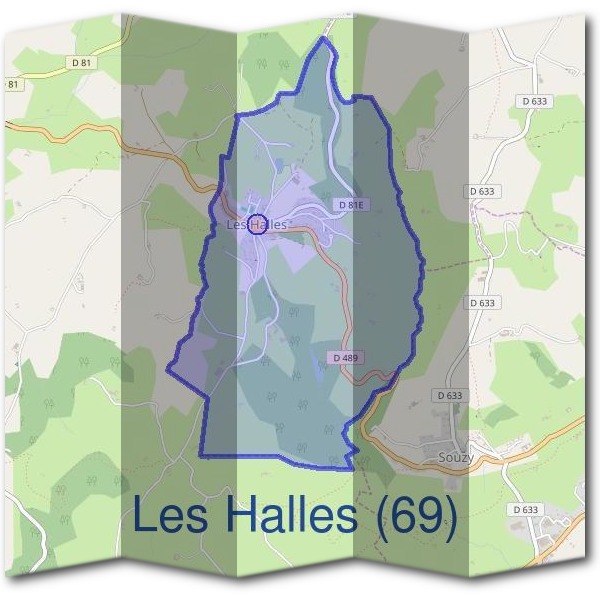 Mairie des Halles (69)