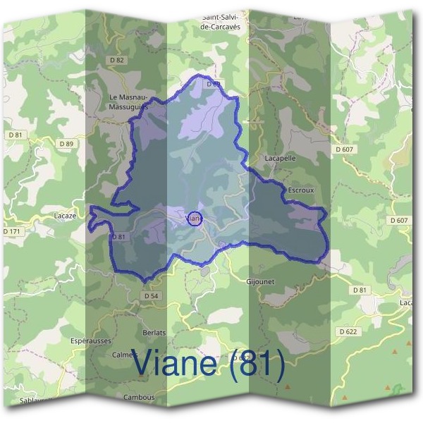 Mairie de Viane (81)